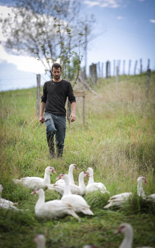 Thomas - La ferme de Muret